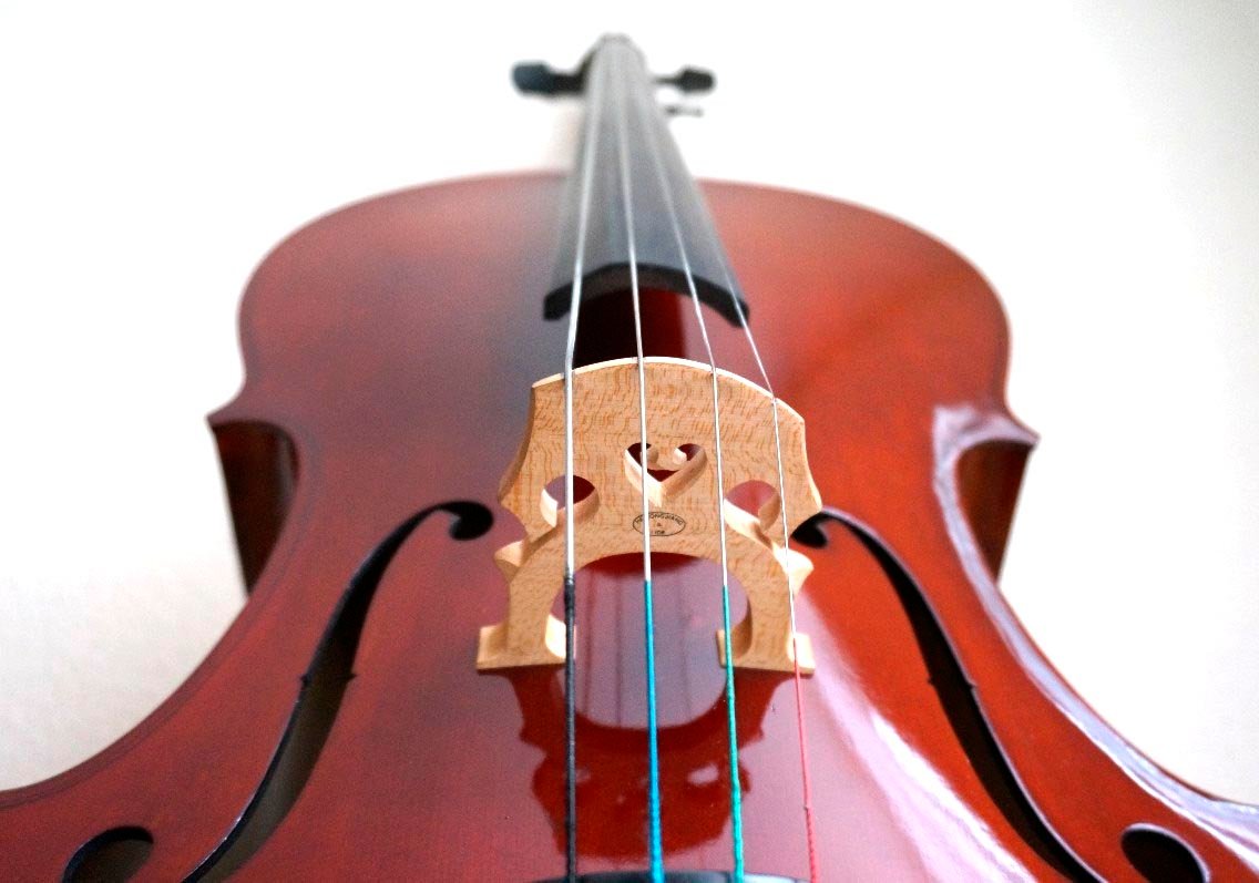 nota falsa La nota falsa o “lobo” en los instrumentos de arco