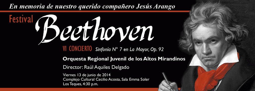 Orquesta FESTIVAL BEETHOVEN